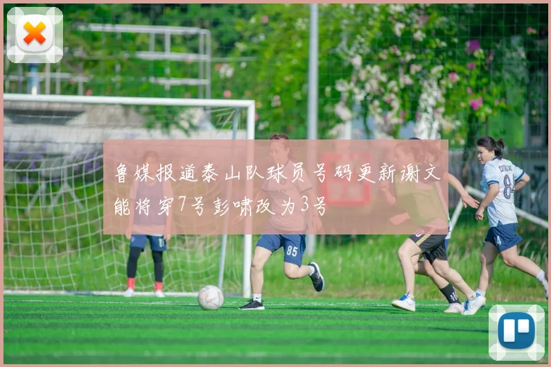 鲁媒报道泰山队球员号码更新谢文能将穿7号彭啸改为3号