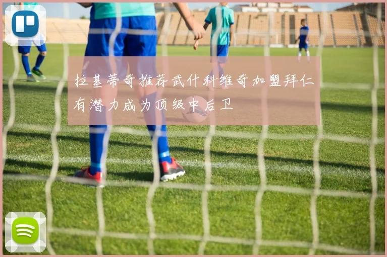 拉基蒂奇推荐武什科维奇加盟拜仁有潜力成为顶级中后卫