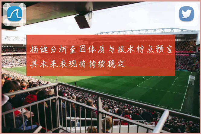 杨健分析奎因体质与技术特点预言其未来表现将持续稳定
